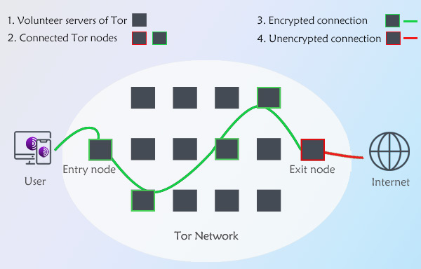 Tor workflow